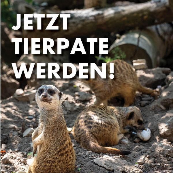 Tierpate werden im Zoo Aschersleben